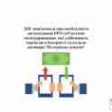 РРО, интернет-торговля, кассовый аппарат